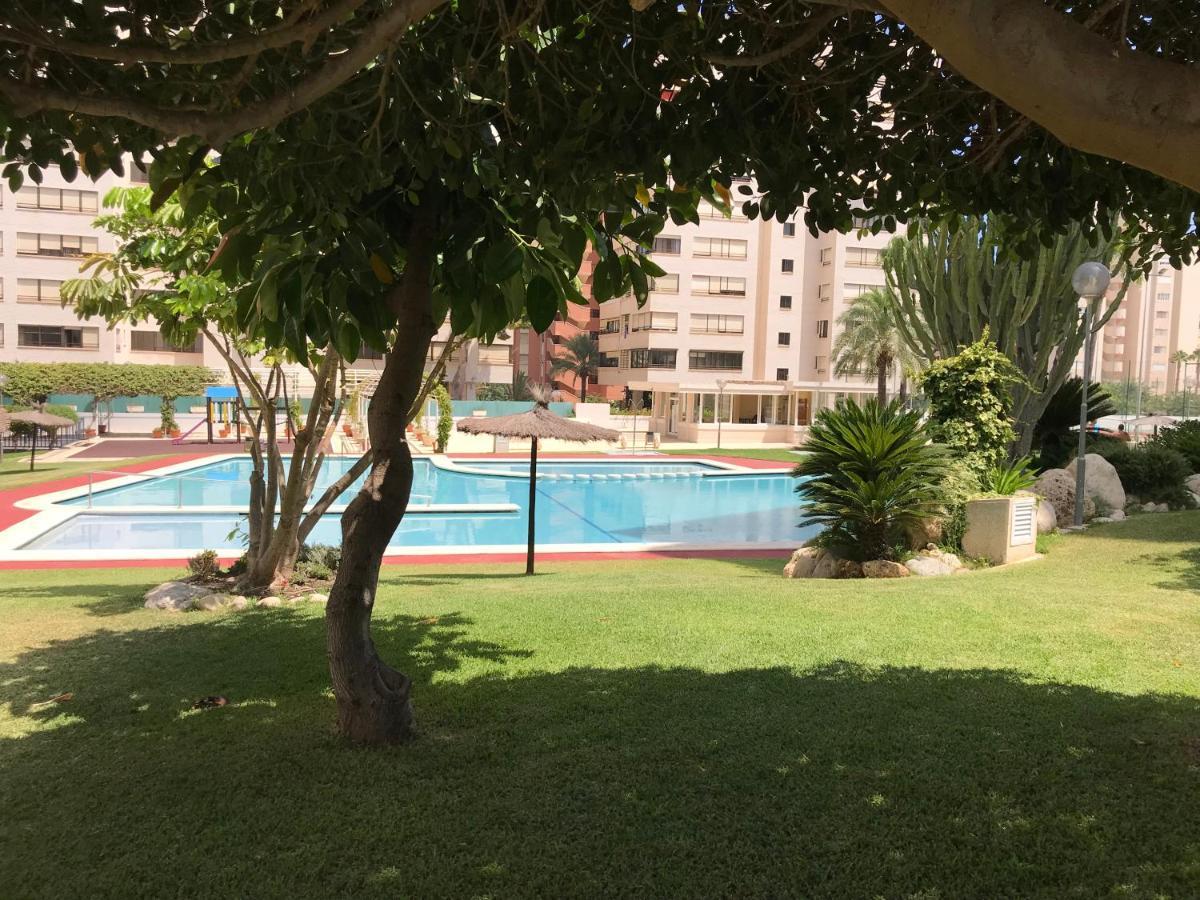 Playa Dos Avenidas Αλικάντε Εξωτερικό φωτογραφία