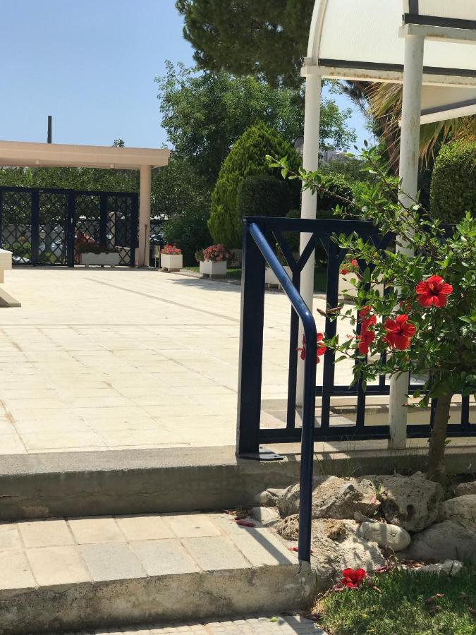 Playa Dos Avenidas Αλικάντε Εξωτερικό φωτογραφία