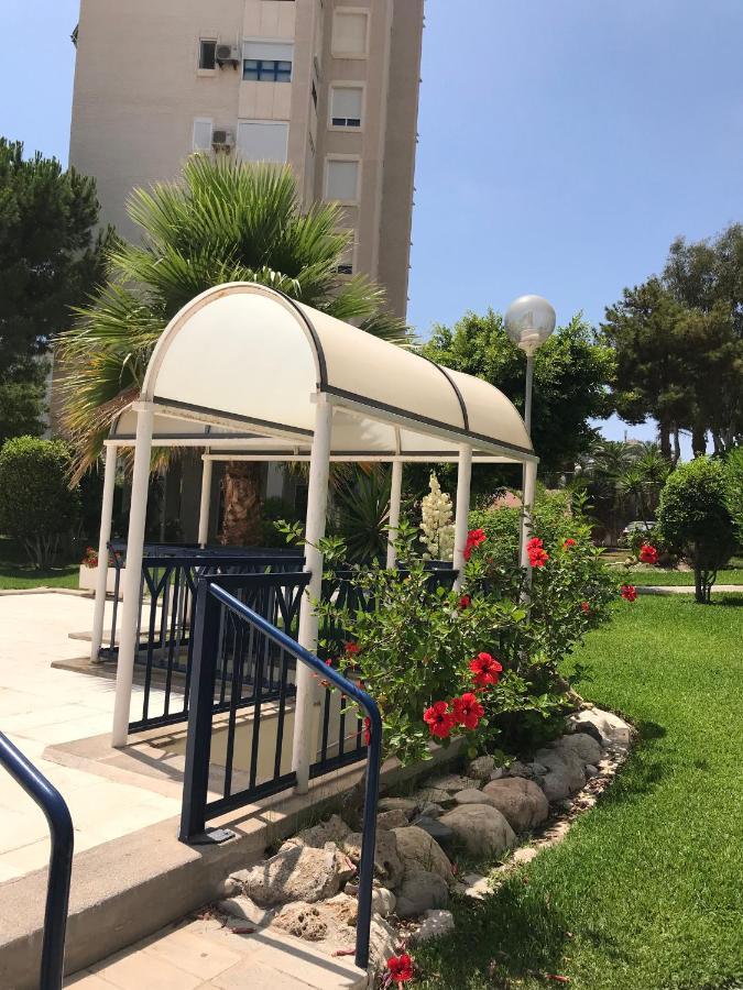 Playa Dos Avenidas Αλικάντε Εξωτερικό φωτογραφία